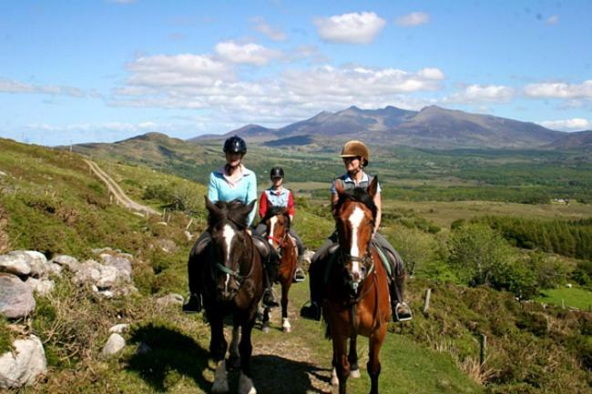 Tatler Jack Bed and Breakfast Killarney Eksteriør billede